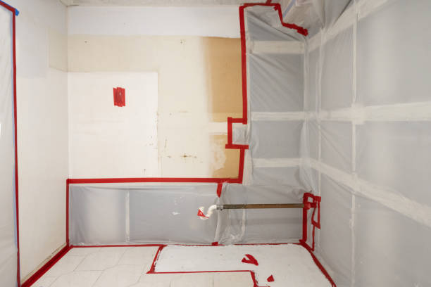 Best Mold Odor Removal Services  in Bellair Meadowbrook Terrace, FL