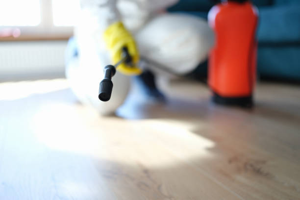 Best Airborne Mold Testing  in Bellair Meadowbrook Terrace, FL